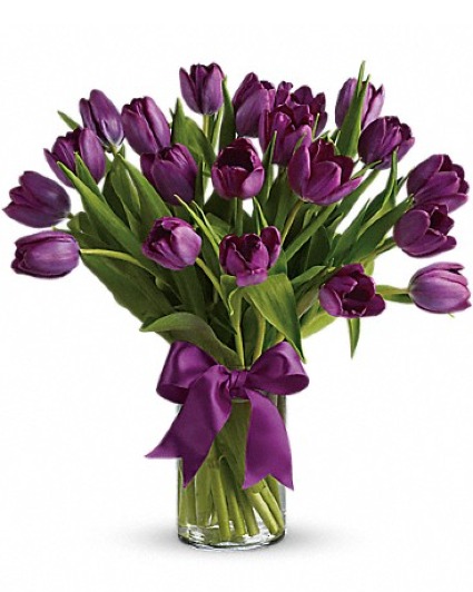 20 Passionate Purple Tulips 