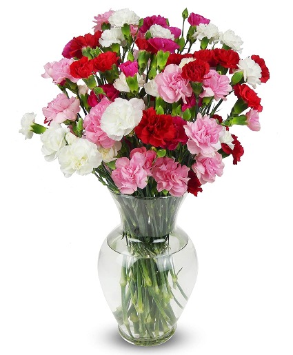 20 Premium Mixed Carnations 