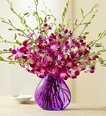 20 Stem Orchid - Purple Vase Arrangement