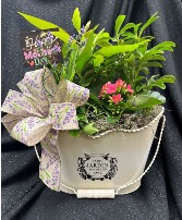 2024 Mothers Day Planter 