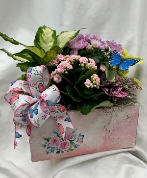 2025 Mothers Day Butterfly Planter 