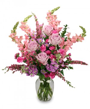 [Never-withering dried flowers] light pink white never-withering rose  hydrangea natural semicircular bouquet