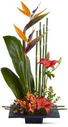 Paradise Found Tropical Arrangement