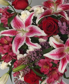 The Rose Petal Floral's DESIGNERS' CHOICE Flowers Starting at $30 in Canon City, CO | TOUCH OF LOVE FLORIST AND WEDDINGS The Rose Petal Floral's DESIGNERS' CHOICE Flowers Starting at $30 in Canon City, CO | TOUCH OF LOVE FLORIST AND WEDDINGS