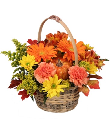 Enjoy Fall! Flower Basket in Tilbury, ON | Kara's Rose Garden