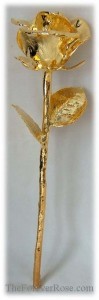 Category Image