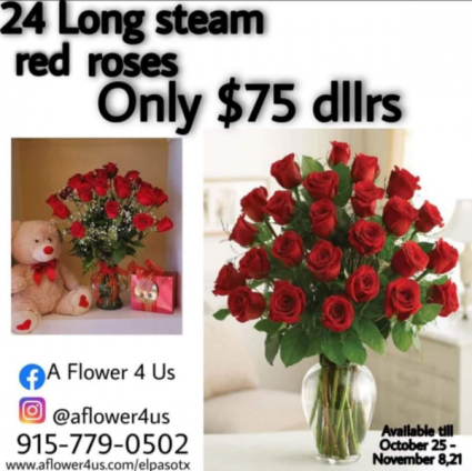 24 Red Roses