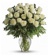 Two Dozen Elegant White Roses 