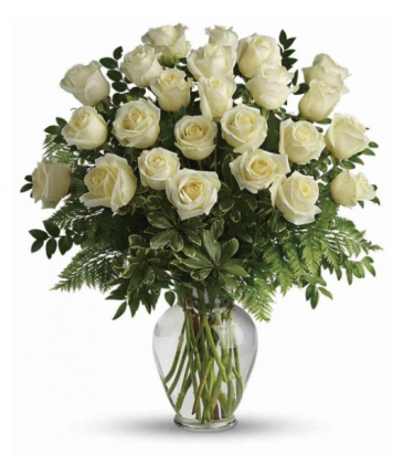 24 Elegant White Roses  in Frederick, MD | Maryland Florals