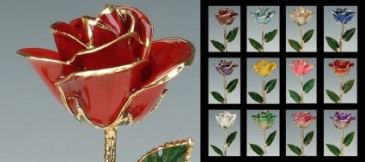 24 K Dipped Roses Keepsake Gift in Canon City, CO | TOUCH OF LOVE FLORIST AND WEDDINGS