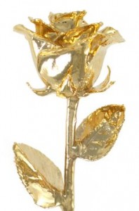 24 K Dipped Real Roses Keepsake Gift in Canon City, CO | TOUCH OF LOVE FLORIST AND WEDDINGS