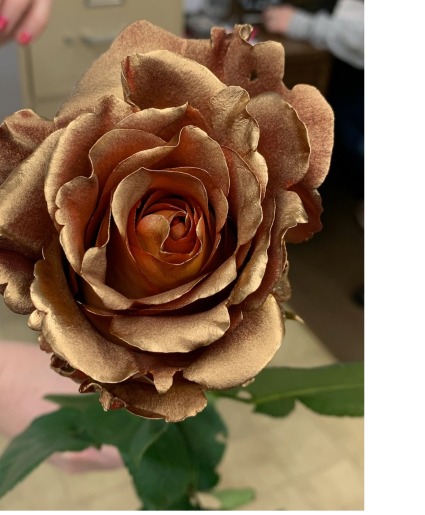 24 Karat Gold Roses Roses