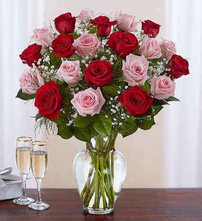 24 LONG STEM PINK AND RED ROSES 