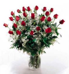 24 Radiant Long Stem Rose Bouquet Rose Bouquet