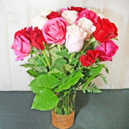24 LONG STEM ROSES-ASSORTED Roses