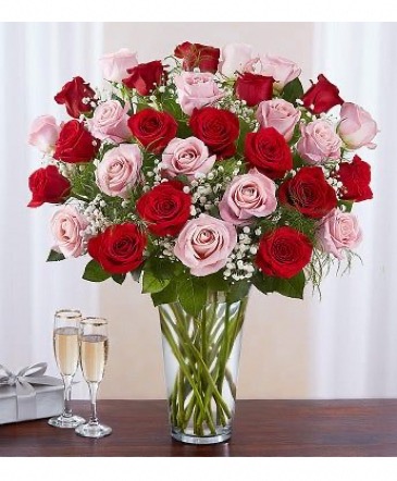 24 Pink & Red Roses Clear Vase in Quincy, MA | Quincy Flowers
