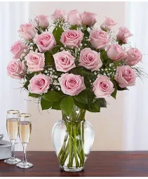 24 Pink Rose Vase - 00154 