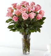 24 Pretty Pink Roses 