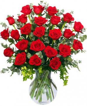 24 Radiant Roses Red Roses Arrangement