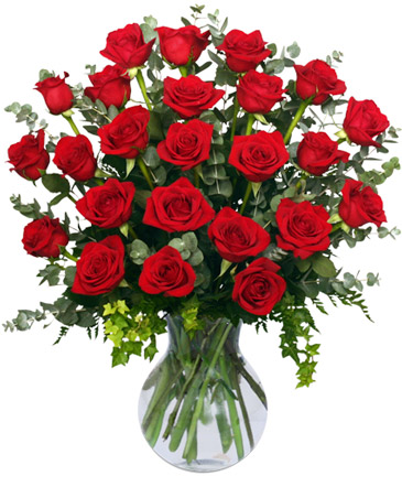 24 Radiant Roses Red Roses Arrangement in Islip, NY | Caroline's Flower Shoppe