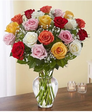 24 Rainbow Rose Vase - 00157 