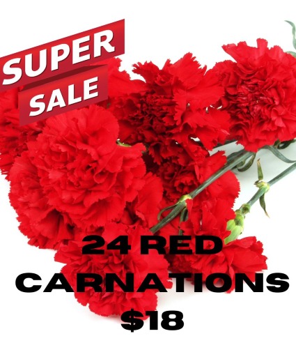 24 Red Carnations Wrapped Bouquet