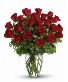 24 Red Rose Arrangement 