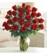 24 RED ROSES ARRAGEMENT IN VASE  