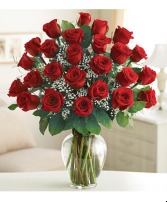 24 Red Roses Arragement in vase roses