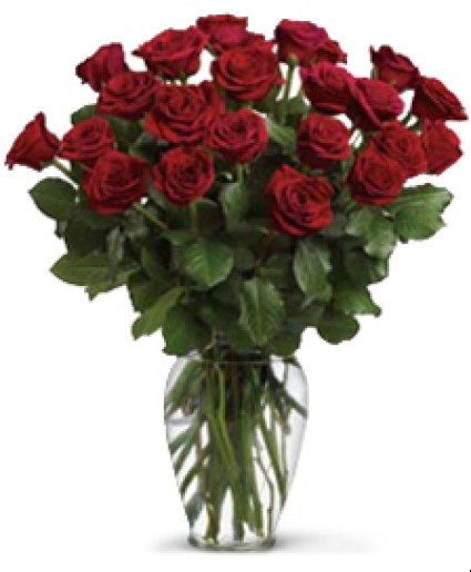 24 red roses( NO FILLER) Roses