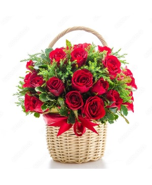 24 Red Roses of Love 