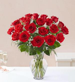 24 Red Roses Rose Vase