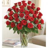 36 red roses roses
