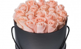 24 Romantic Wishes Pink Rose Box