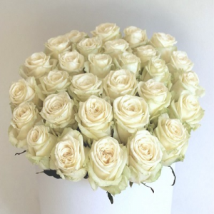24 Romantic Wishes White Rose Box