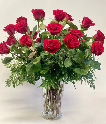 24 VIOR-Able Red Roses 