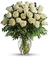 24 White Roses