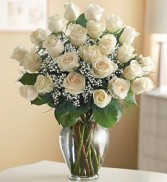 24 White Roses  PREMIUM LONG STEM ROSES 