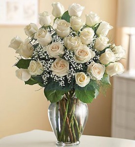 24 White Roses  PREMIUM LONG STEM ROSES 
