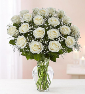 24 White Roses Rose Vase