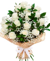 24 white roses wrapped bouquet