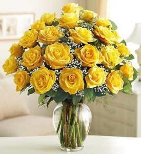 24 Yellow Roses  PREMIUM LONG STEM ROSES 