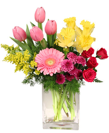 Spring Is In The Air Arrangement in Jacksonville, FL | TURNER ACE FLORIST