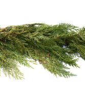 25" Garland, Western Red Cedar