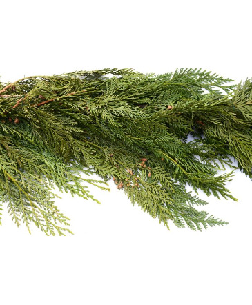 25" Garland, Western Red Cedar  in Olds, AB | THE LADY BUG STUDIO