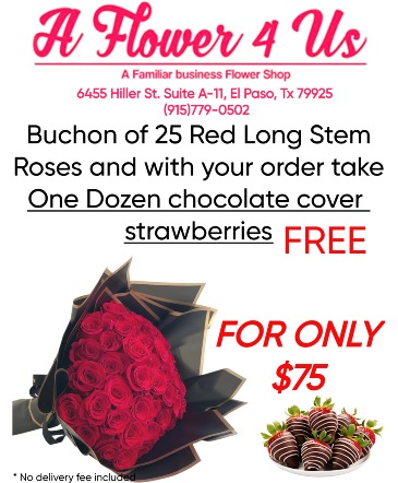 25 Red Long stem roses Buchon   in El Paso, TX | A FLOWER 4 US