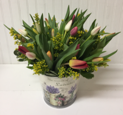 25 Tulips in Floral Tin