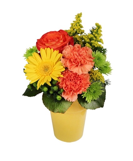 Jackpot Posies Arrangement Flower Bouquet