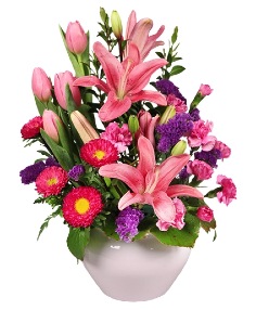 Category Image