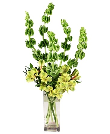 VERY VERDE Bouquet in Cary, NC | GCG FLOWER & PLANT DESIGN